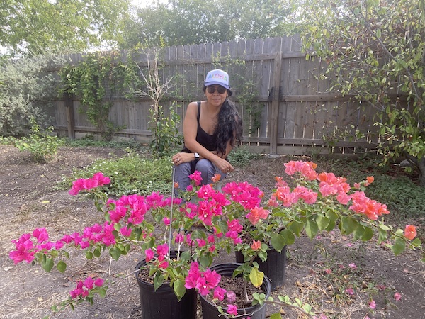 Bougainvilleas and me.